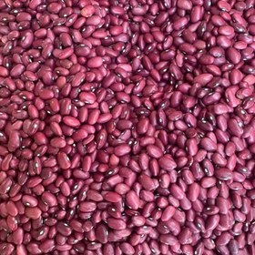 تصویر لوبیا قرمز ۱ کیلوگرم 