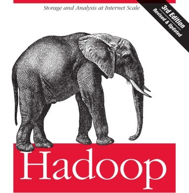 خرید و قیمت دانلود کتاب Hadoop: The Definitive Guide [Third Edition] | ترب