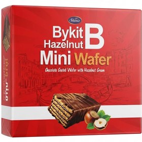 تصویر بایکیت شونیز _ ۴۰۰ گرمی 
