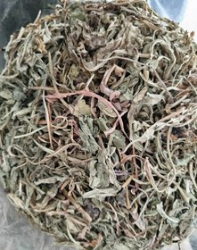 تصویر گیاه کاسنی - ۵۰۰ گرم Cchicory plant