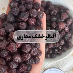 تصویر آلبالو خشک خانگی 