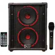 تصویر اکو همراه 2×6 بی سیم تکنوساند PTR4W با میکروفن بی‌سیم 