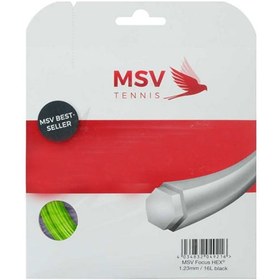 تصویر زه‌های تکی ام اس وی | MSV Strings 