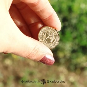 تصویر بج سینه شیردال (سیمرغ) 