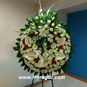 تصویر فروشگاه گلفروشی نورا