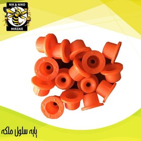 تصویر پایه سلول ملکه 