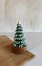 تصویر کاج دو رنگ شمعدونی 