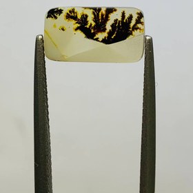 تصویر نگین شجر طبيعى هندوستان سایز 12*7 میلی‌متر 