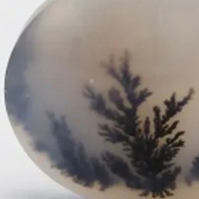 تصویر سنگ شجر کد 2294 