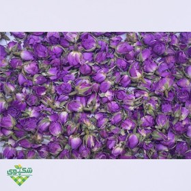 تصویر گل محمدی 