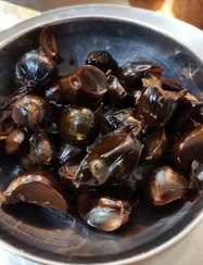 تصویر ترشی سیر 5 ساله آفتاب زاگرس 