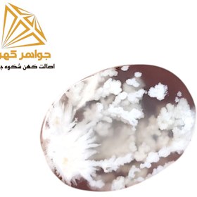 تصویر نگین شجر زمستانی (کد۷۱) 