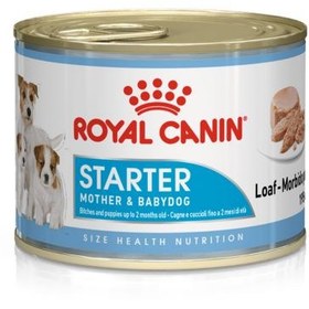 Starter royal canin on sale mousse