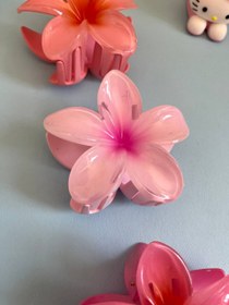 تصویر گلسر پلومریا 