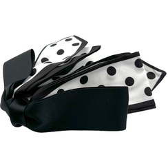 تصویر کلیپس آبشاری کرواتی 