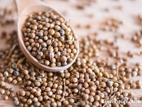 تصویر تخم گیشنیز دانه 