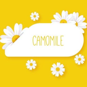 تصویر طرح پس زمینه زرد با گل سفید بابونه با فضای نوشتن 