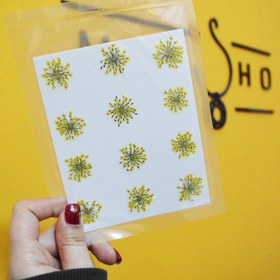 تصویر گل شوکران وارداتی زرد VIP 