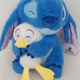 تصویر استیج اردک بغل 