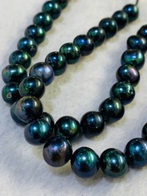 تصویر ریسه مرواريد پرورشى سیاه 