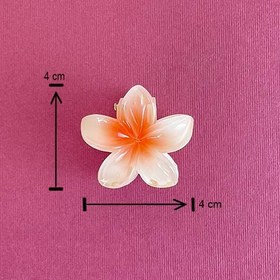 تصویر کلیپس پلومریا 4 سانتی 