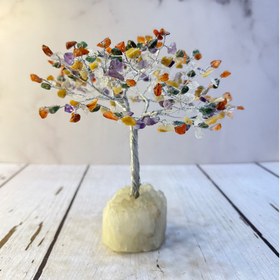 تصویر درختچه سنگی 