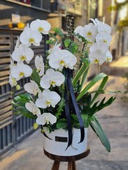 تصویر گلدان ارکیده 3 شاخه کد 578 ا Best Orkide Vase Code 578 Best Orkide Vase Code 578