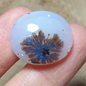 تصویر شجر قائن 