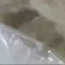 تصویر پشم گوسفندی حلاجی شده مخصوص بالشت و تشک 
