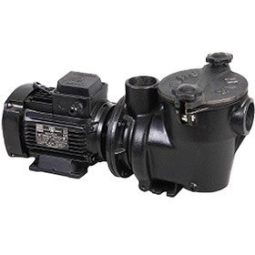 تصویر پمپ استخری مک مدل MP-200 