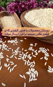 تصویر برنج طارم محلی اصیل فریدونکنار10کیلویی Fereydounkenar local rice10g