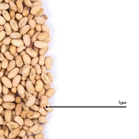 تصویر سویا آجیلی اعلا بسته بندی 450 گرمی شالیزار صادق 