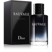 تصویر ادو تویلت مردانه دیور مدل ساواج (ساواژ) حجم 100 میل اصل ا Dior Sauvage 100ML ORG Dior Sauvage 100ML ORG