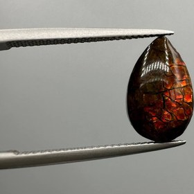 تصویر سنگ قیمتی آمولیت اصل 234384 