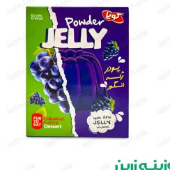 تصویر پودر ژله انگور کوپا 100 گرمی | طعمی کلاسیک و همیشه محبوب 