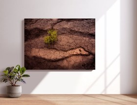 تصویر عکس “صلح” 