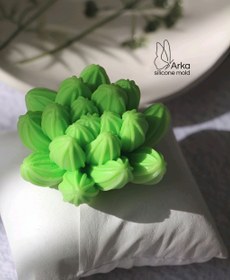 تصویر قالب کاکتوس 