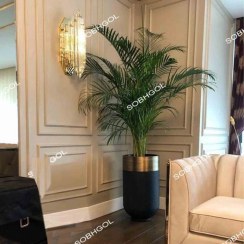 تصویر گیاه اریکا مدل E10 