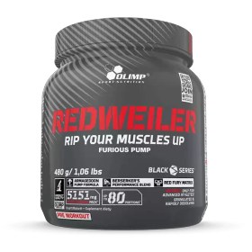 تصویر پمپ ردویلر الیمپ | OLIMP REDWEILER 