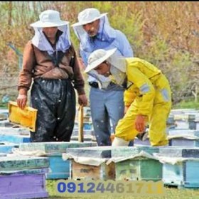 تصویر گرده گل - 1000 گرم flower pollen