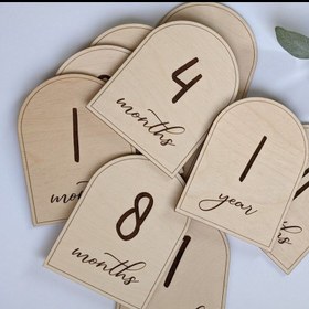 تصویر دیسک ماهگرد 12 عددی 