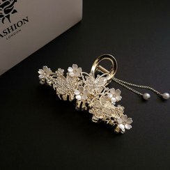 تصویر کلیپس شكوفه و پروانه مجلسی 