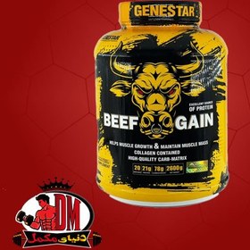 تصویر بیف گین ژن استار ۲۶۰۰ گرم 