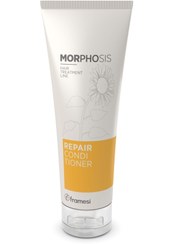 تصویر کرم مو اورجینال برند Framesi morphosis مدل Repair Hair Cream کد 68220557 