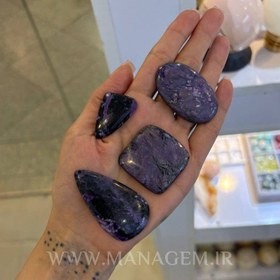 تصویر نگین چاروئیت 