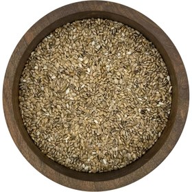 تصویر تخم خار مریم 