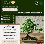 تصویر دوره پرورش درختچه های بونسای 