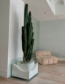 تصویر گلدان شیشه ای یووی 