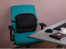 تصویر پشتی طبی 