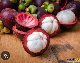 تصویر منگوستین 